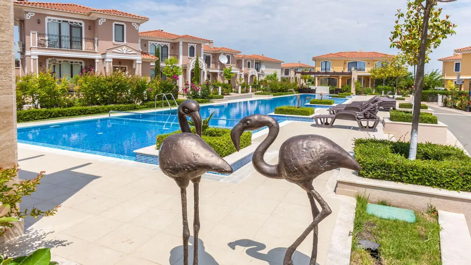 Flamingo sculptures beside the long pool