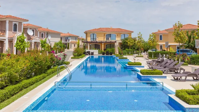 Long pool with sun loungers and flowering shrubs